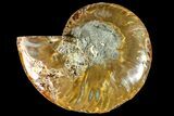 Cut & Polished Ammonite Fossil (Half) - Crystal Filled Chambers #146000-1